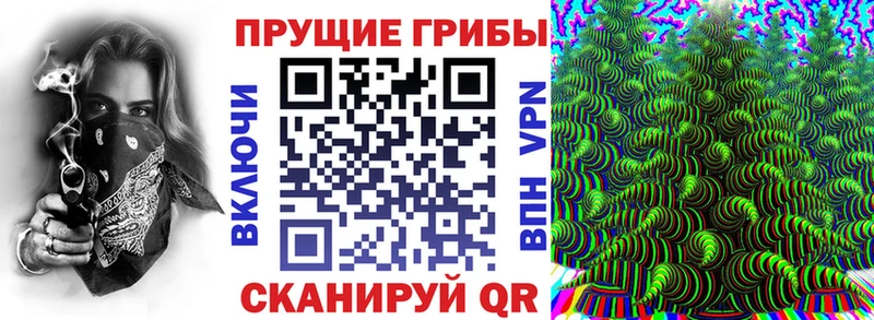 Галлюциногенные грибы Psilocybe  Себеж 