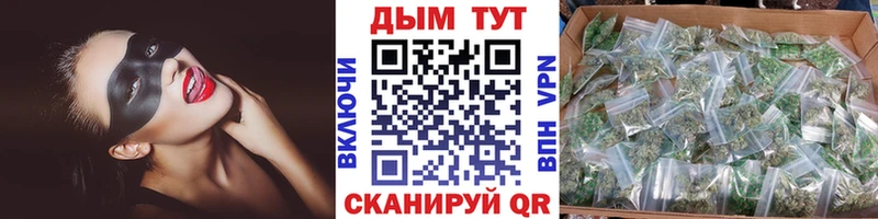 Конопля семена  продажа наркотиков  Себеж 